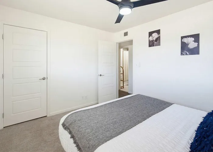Modern Comphy In With Pool Tempe